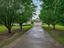Photo 2 of 25 : 235 Sorin, #235
