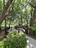 Photo 11 of 12 : 2000 Belle Isle Avenue, #304