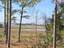 Photo 7 of 25 : 2618 Kiln Creek Circle