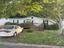Photo 2 of 19 : 8156 Woodland Drive