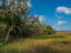 Photo 24 of 25 : 925 Edding Creek Drive