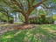 Photo 4 of 25 : 1618 Patterson Avenue