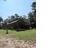 Photo 10 of 25 : 1270 Stukes Road