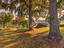 Photo 9 of 25 : 1039 Summerford Lane