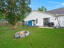 Photo 24 of 25 : 8578 Brookforest Drive