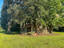 Photo 15 of 25 : Home on Hope Plantation Lane