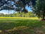 Photo 17 of 25 : Home on Hope Plantation Lane