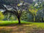 Photo 18 of 25 : Home on Hope Plantation Lane