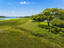 Photo 12 of 25 : 1463 Harborsun Drive