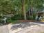 Photo 7 of 25 : 205 Telfair Court