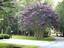 Photo 5 of 25 : 255 Longleaf Drive