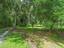 Photo 10 of 25 : 8567 Palmetto Road