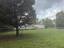 Photo 7 of 25 : 4080 Coburg Lane