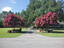 Photo 2 of 25 : 2899 Wire Road