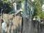 Photo 4 of 4 : 10 Enston Avenue