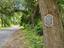 Photo 4 of 25 : 1105 Quiet Road