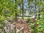 Photo 18 of 25 : 255 Hundred Oaks Parkway
