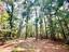 Photo 11 of 21 : 179 Song Bird Drive