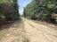 Photo 6 of 10 : 187 Tiny Lane