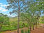 Photo 11 of 25 : 700 Daniel Ellis Drive, #7206