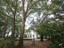 Photo 2 of 25 : 206 Poplar Branch Drive