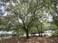 Photo 3 of 25 : 206 Poplar Branch Drive