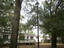 Photo 4 of 25 : 206 Poplar Branch Drive