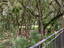 Photo 15 of 16 : 183 High Hammock Villas