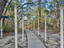 Photo 5 of 25 : 1054 Anna Knapp Boulevard, #2e