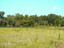 Photo 15 of 25 : 189 Indian Oaks Lane