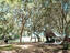Photo 4 of 25 : 189 Indian Oaks Lane