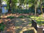 Photo 4 of 22 : 1129 Dickson Avenue
