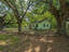 Photo 3 of 25 : 2881 Charlene Drive