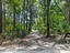 Photo 4 of 25 : 2208 Leadenwah Drive