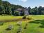 Photo 6 of 25 : 2208 Leadenwah Drive