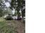 Photo 15 of 15 : 2691 Olympia Avenue