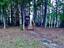 Photo 7 of 25 : 3 Hickory Landing Court