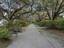 Photo 9 of 25 : 1056 Avenue Of Oaks