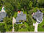 Photo 8 of 25 : 2323 Darts Cove Way