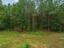 Photo 7 of 25 : 1064 Van Dyke Road