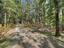 Photo 11 of 25 : 123 Sand Dollar Lane