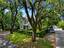 Photo 2 of 25 : 2204 Wappoo Drive
