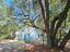 Photo 5 of 25 : 8780 Palmetto Road