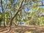 Photo 9 of 25 : 8780 Palmetto Road