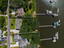Photo 13 of 25 : 151 Stono Drive