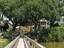 Photo 16 of 25 : 151 Stono Drive