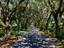 Photo 21 of 25 : 151 Stono Drive