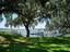 Photo 3 of 25 : 151 Stono Drive
