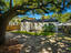 Photo 4 of 19 : 68 Avondale Avenue