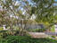 Photo 5 of 25 : 1615 Live Oak Park